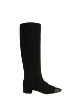 Cecile Suede Tall Boot