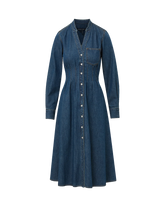 Arcadia Denim Shirtdress