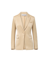 Long and Lean Satin Dickey Jacket