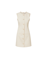 Whistler Mini Dress