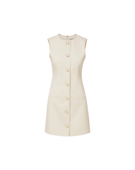 Whistler Mini Dress