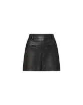 Pavaline Mini Skirt