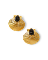 Shell Gold Earrings