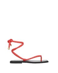 Carmina Wrap Sandal