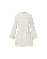 Amberg Lace Mini Dress