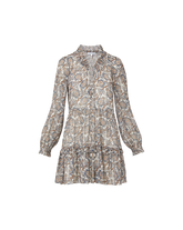 Charles Silk Mini Dress