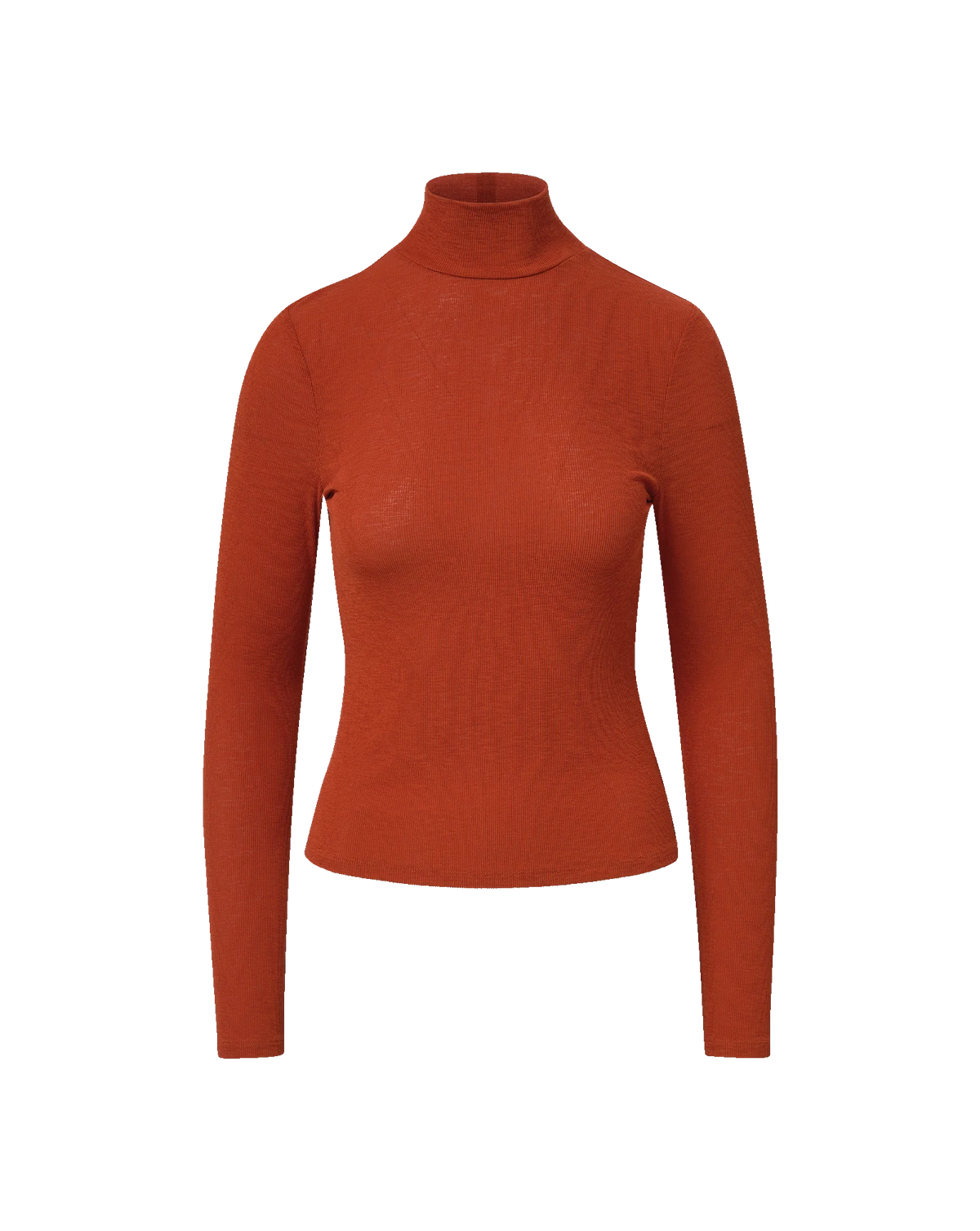 Wyeth Turtleneck Top